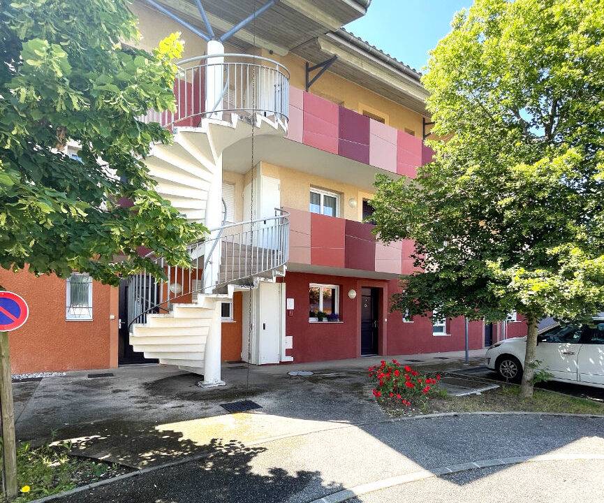 55917466n.jpg