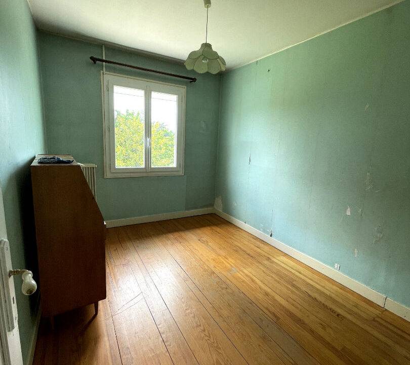 55813121n.jpg