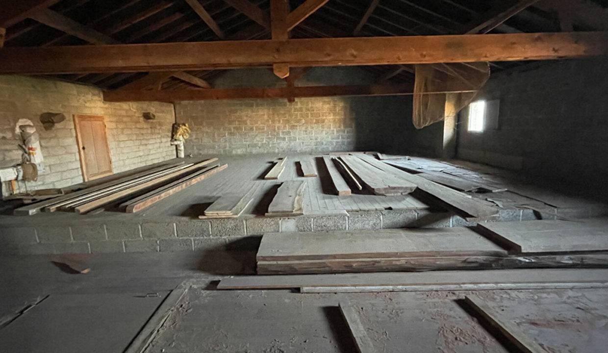 52101166r.jpg