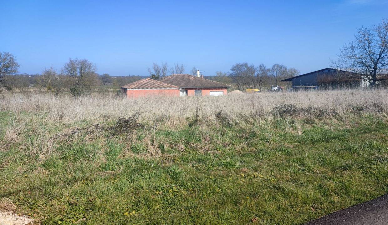 58146295a.jpg