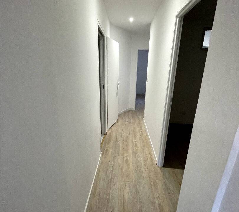 56993947f.jpg